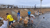 Сокращение пластиковых отходов на Фукуоке способствует развитию туризма