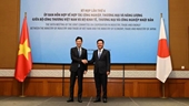 Вьетнам и Япония содействуют отношениям экономики, торговли и инвестиций