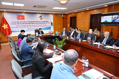 5-е заседание Совместного комитета по реализации Соглашения о свободной торговле между Вьетнамом и Евразийским экономическим союзом
