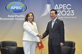 Вьетнам и Перу эффективно продвигают механизмы двустороннего сотрудничества