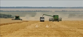 Правительство РФ запретило экспорт твердой пшеницы на полгода