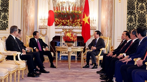 Президент Во Ван Тхыонг принял руководителей партий и группы парламентариев, близких к Вьетнаму