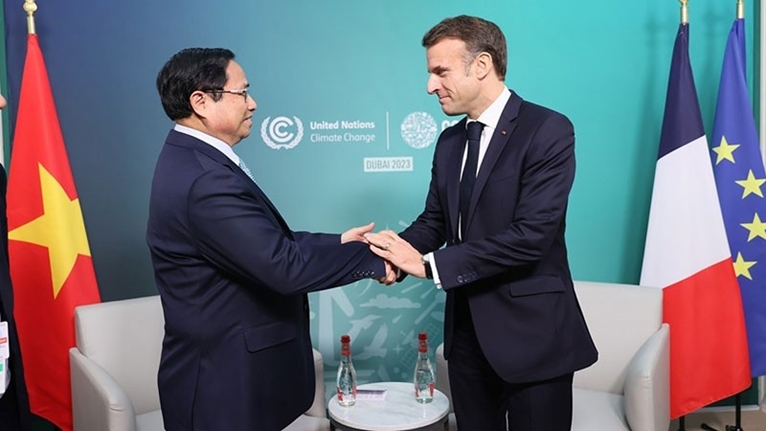 Премьер-министр Фам Минь Тьинь встретился с Президентом Франции