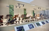 Музей природы в лесу Кукфыонг