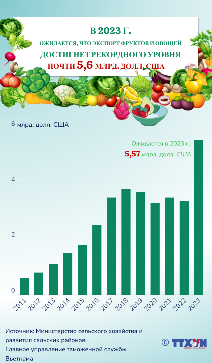 Ожидается, что экспорт фруктов и овощей в 2023 году достигнет рекордного  уровня почти в 5,6 млрд. долл. США
