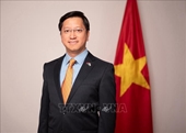 Посол Нгуен Тхань Хай Вьетнам и Индия имеют большой потенциал для сотрудничества