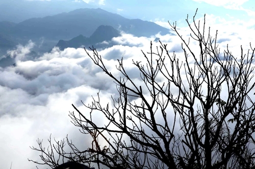 Лайчау Вид на бескрайнее море облаков с вершины горы Лаотифунг