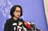 Вьетнам отверг искаженную и ложную информацию о ситуации с правами человека в стране