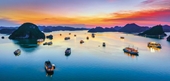 Вьетнам входит в Топ-10 в мире по количеству поисковых запросов
