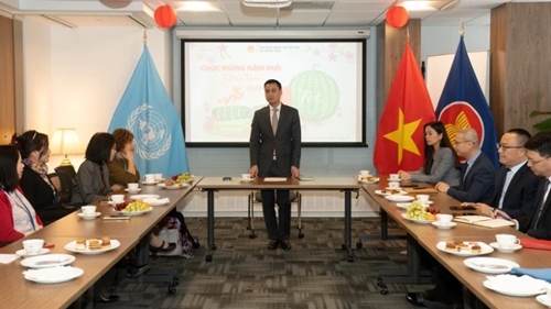 Прошла встреча с вьетнамскими экспертами, работающими в ООН