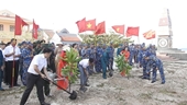 Тэт посадки деревьев в островном уезде Чыонгша