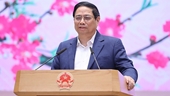 Премьер-министр Вьетнама призывает к скорейшему возобновлению работы после праздника Тэт