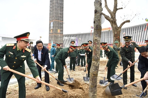 Минобороны запустило движение «Праздник посадки деревьев – вечная благодарность Дядюшке Хо»
