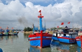 У рыбаков центральной части вьетнама богатый улов в начале года