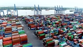 Более 1000 предприятий приняли участие в импорте и экспорте товаров во время Лунного Нового года