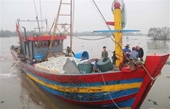 Рыбаки провинции Тхайбинь полны решимости отменить «желтую карточку» по ННН-промыслу морепродуктов