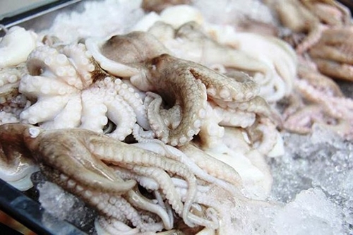 Южная Корея – крупнейший экспортный рынок Вьетнама для кальмаров и осьминогов