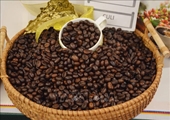 Новый рекорд экспорта кофе робуста