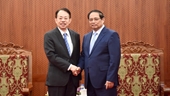 Премьер-министр Фам Минь Тьинь принял Президента Азиатского банка развития