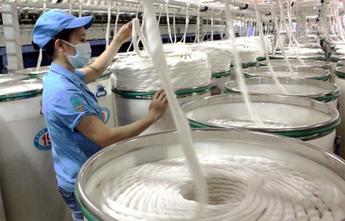 За первые два месяца года экспорт текстильного волокна достиг более 666 млн долларов США