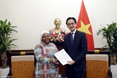Замминистра иностранных дел Вьетнама До Хунг Вьет принял нового главного представителя Структуры «ООН-женщины» во Вьетнаме