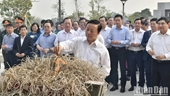 Вице-премьер Чан Хонг Ха воскурил благовония в исторических местах Дьенбьена