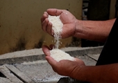 Временно прервав цепочку спада, экспортные цены на вьетнамский рис выросли