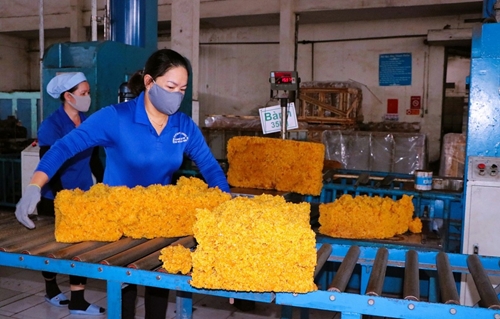 Вьетнам – 12-й по величине внеблоковый поставщик каучука в ЕС