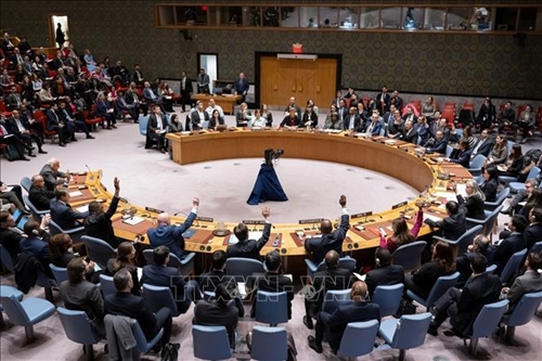 В Совете безопасности ООН проголосовали за резолюцию, призывающую к немедленному прекращению огня в секторе Газа