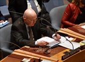 Россия заблокировала в Совете Безопасности ООН американскую резолюцию по санкциям против Северной Кореи