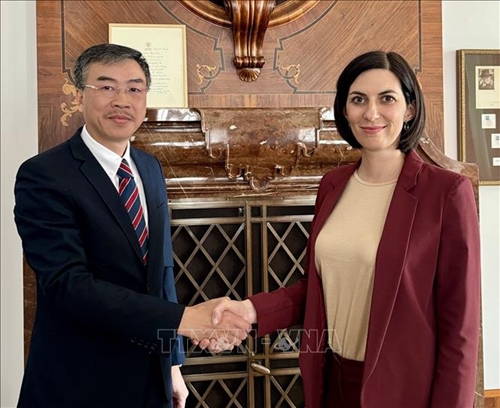 Палата депутатов Парламента Чешской Республики желает укрепить сотрудничество с Национальным собранием Вьетнама