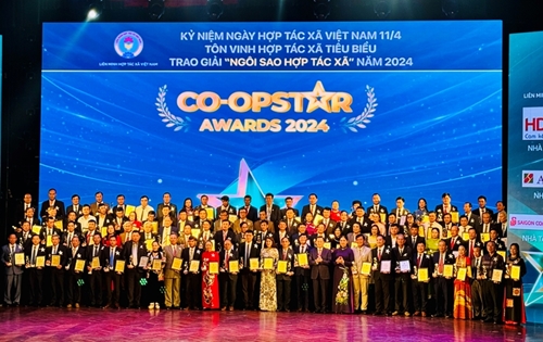 Премия «Звезда кооператива 2024» вручена 100 лучшим кооперативам