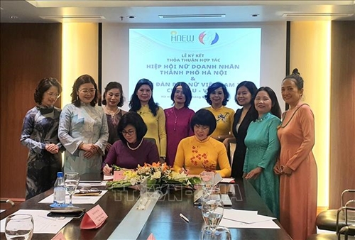 Сотрудничество для улучшения положения и роли вьетнамских женщин во всех областях