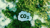 Рынок углеродных кредитов – источник развития зелёной экономики