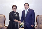 Премьер-министр Фам Минь Тинь принял министра иностранных дел Индонезии Ретно Марсуди