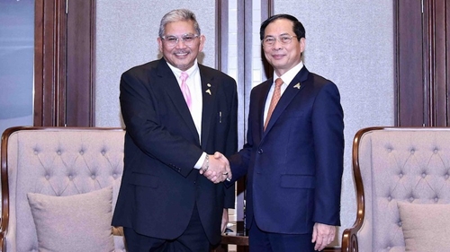 Вьетнам и Бруней тесно сотрудничают в реализации пописанных соглашений