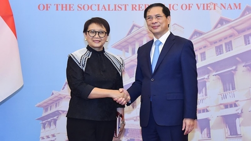 Развитие сотрудничества между Вьетнамом и Индонезией в более углубленном и практическом направлении