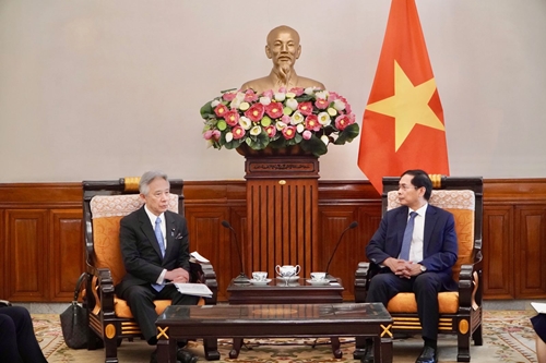 Министр иностранных дел Вьетнама принял министра образования, культуры, спорта, науки и технологий Японии