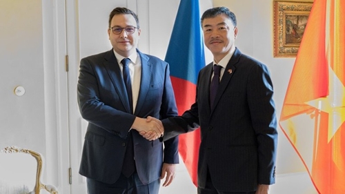 Чехия высоко оценивает роль и вклад Вьетнама на многосторонних форумах