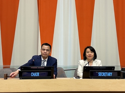 Вьетнам успешно завершил председательство в Азиатско-Тихоокеанской группе при ООН