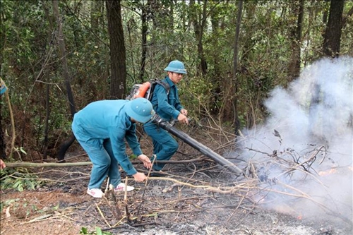 Премьер-министр поручил применить решительные меры по предотвращению и борьбе с лесными пожарами