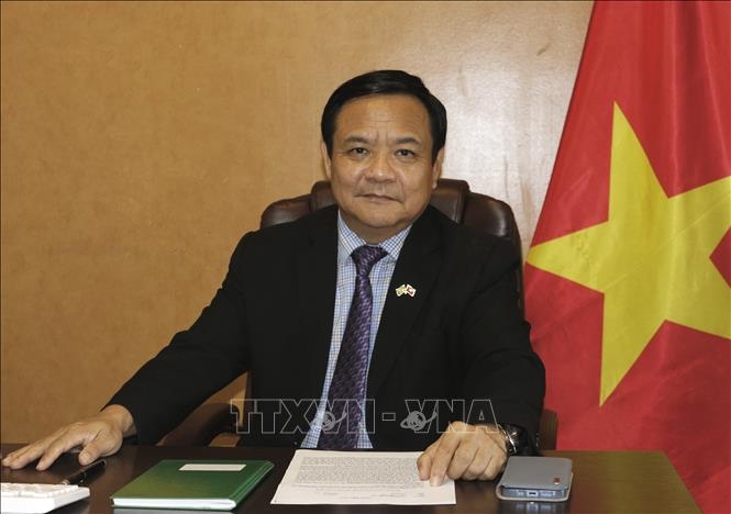 Содействие дружественным отношениям и многоплановому сотрудничеству между Вьетнамом и Бразилией