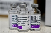 Argentina dona 500 000 dosis de vacuna AstraZeneca a Vietnam