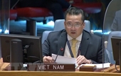 Vietnam apoya una mayor cooperación entre el CSNU y la AUPSC