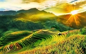 AFP destaca la impresionante belleza de terrazas arroceras de Mu Cang Chai en Vietnam