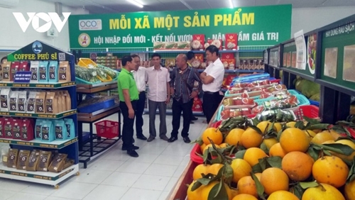 Kon Tum instala con éxito el comercio electrónico para el consumo de productos OCOP