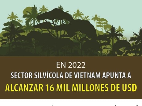 Sector silvícola de Vietnam apunta a alcanzar 16 mil millones de dólares en 2022