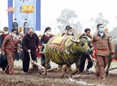 Imágenes del presidente en el festival de arado en Ha Nam