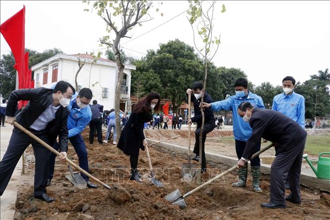 Celebrar el festival de plantación de árboles en varias localidades