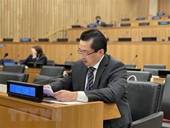 La Carta de la ONU sienta las bases para las acciones de la comunidad internacional